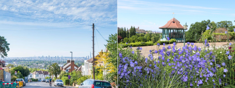 Foresthill Horniman Museum and Gardens and Canobie Road London views